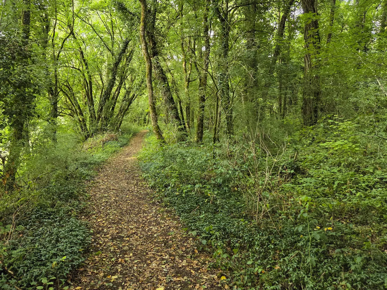 Dannemarie-sur-Crète, le sentier botanique