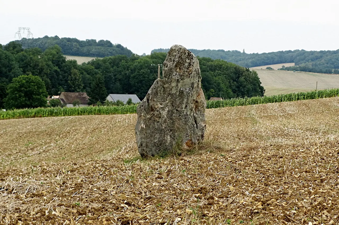 Égriselles-le-Bocage - menhir des Rivaux