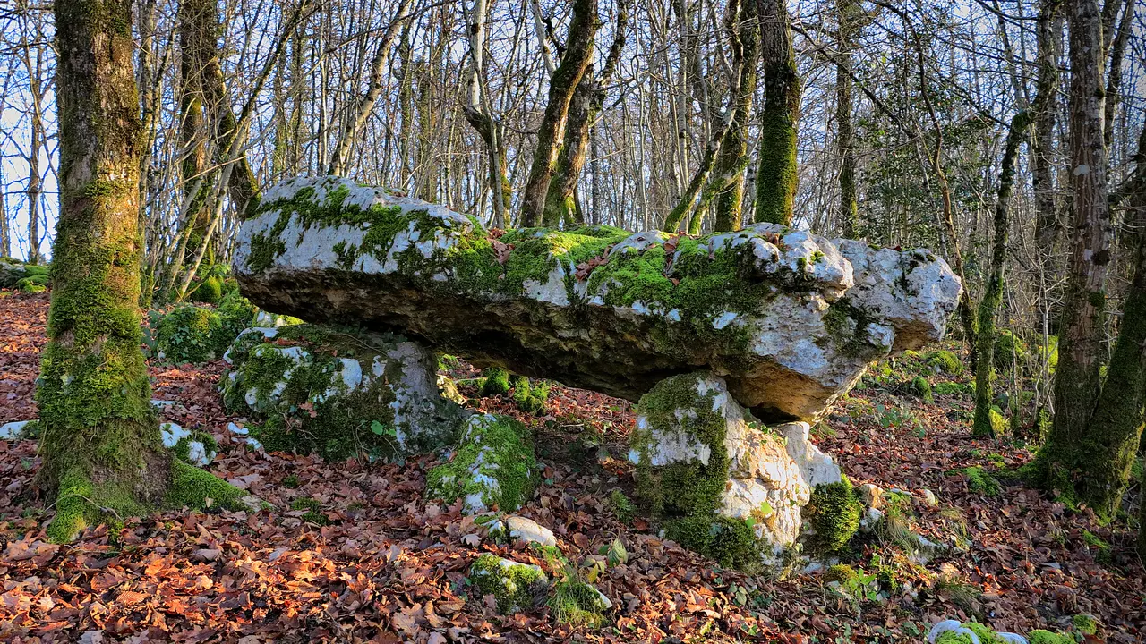 Foucherans, le dolmen de Foucherans