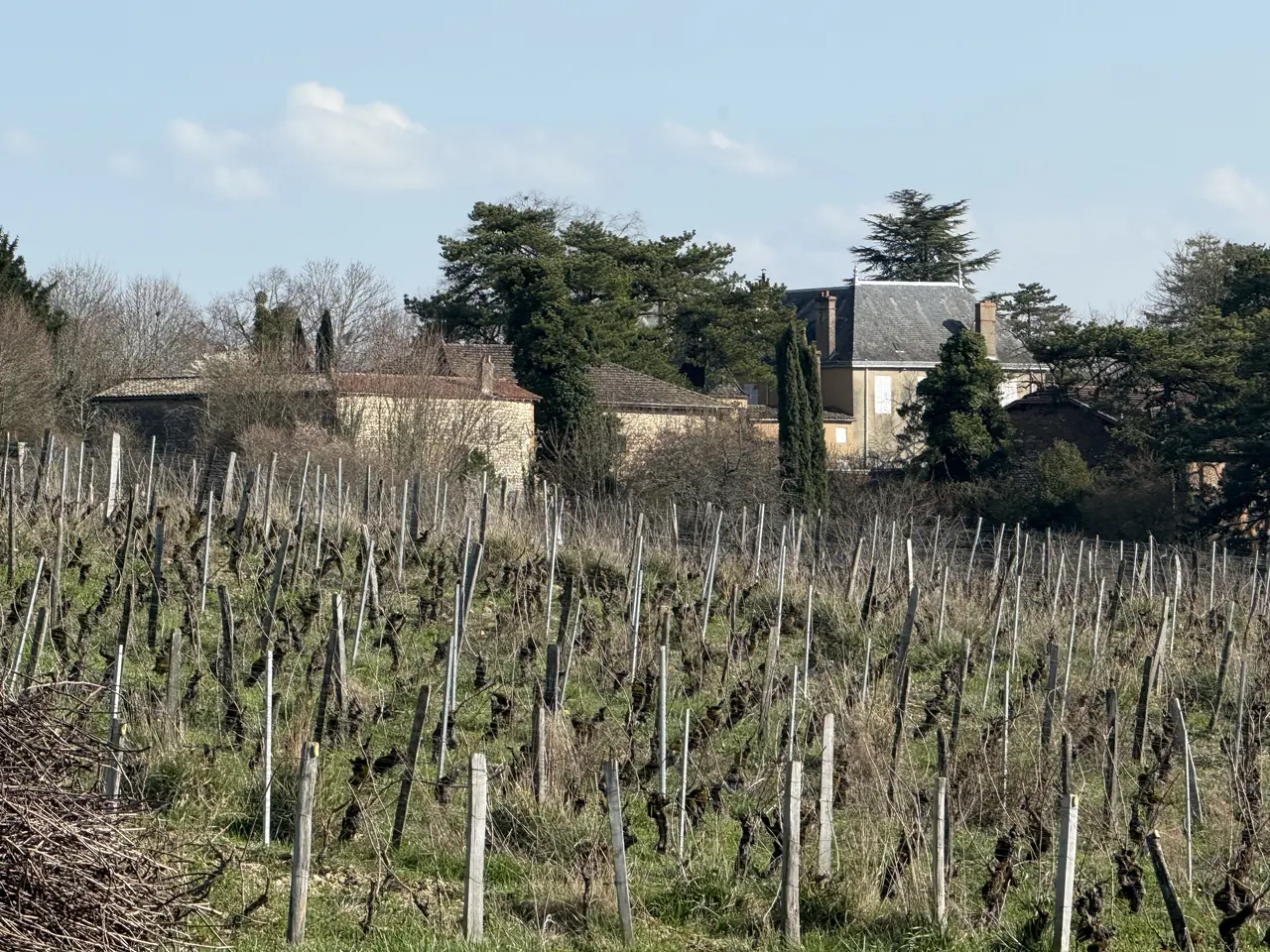Château Chazoux - Hurigny (FR71) - 2026-03-03 - 3