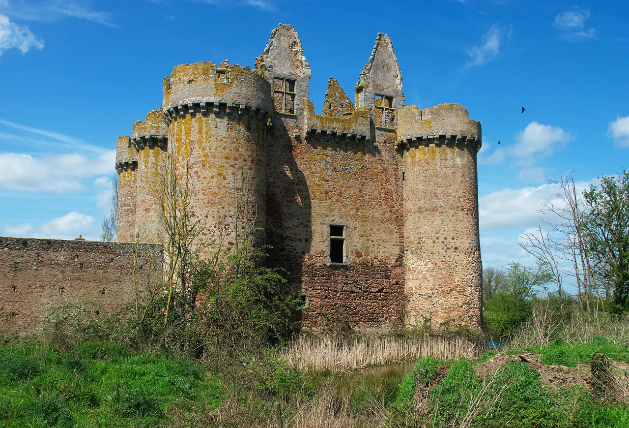 Chateau L'Ebaupinay - Le Breuil-sous-Argenton