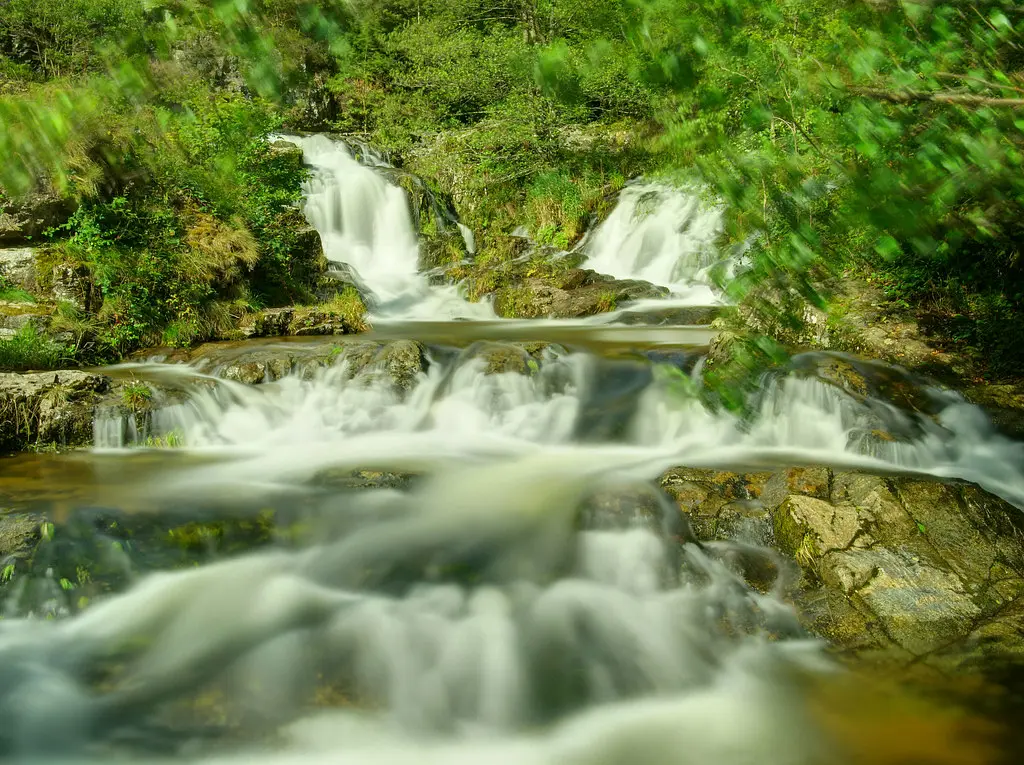 Savoureuse river in Lepuix