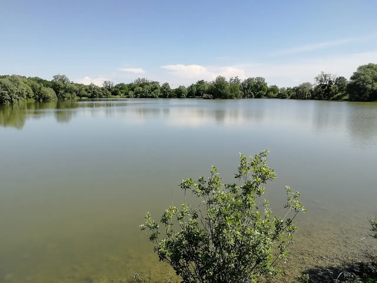 Neuilly-Crimolois - Etang