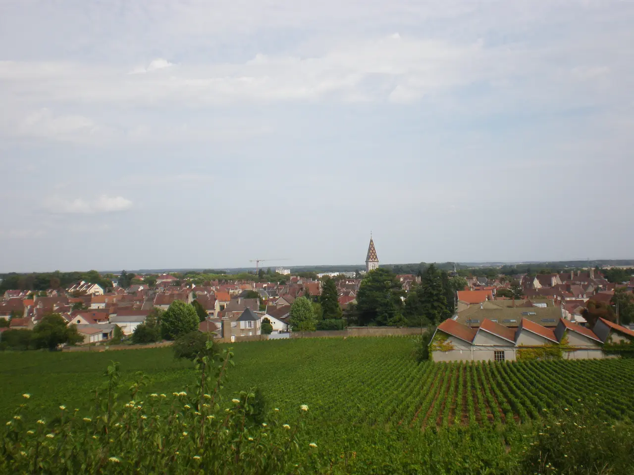 Ville nuits-saint-georges