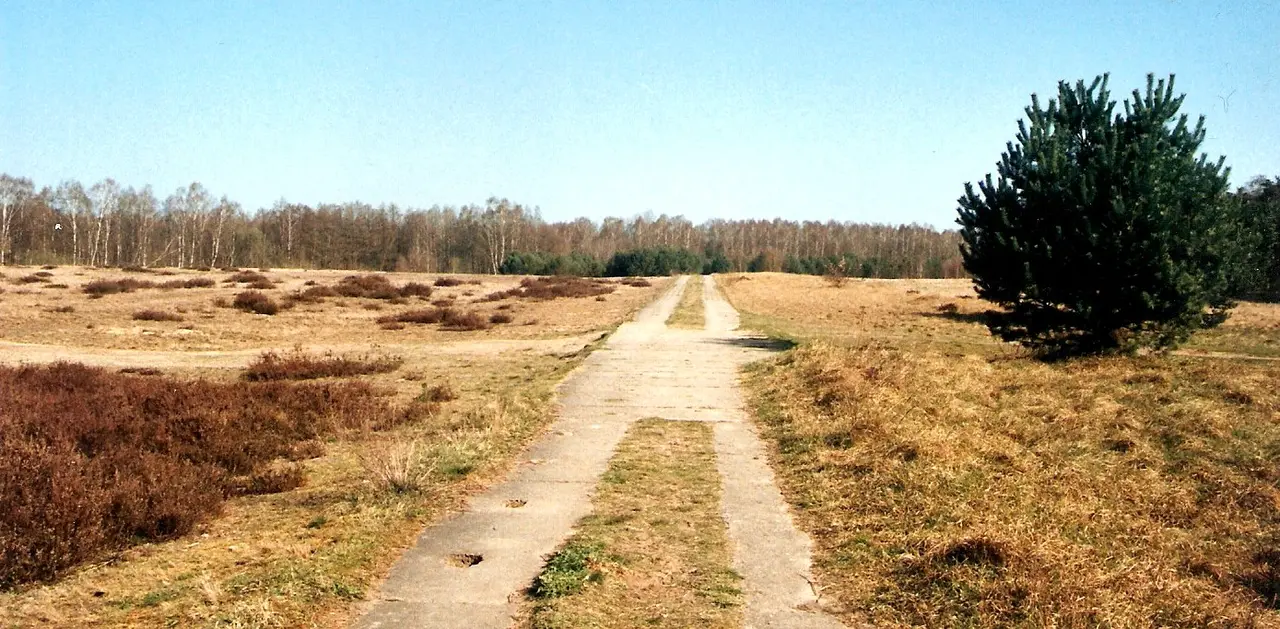 IR Lübeck 004 Palinger Heide