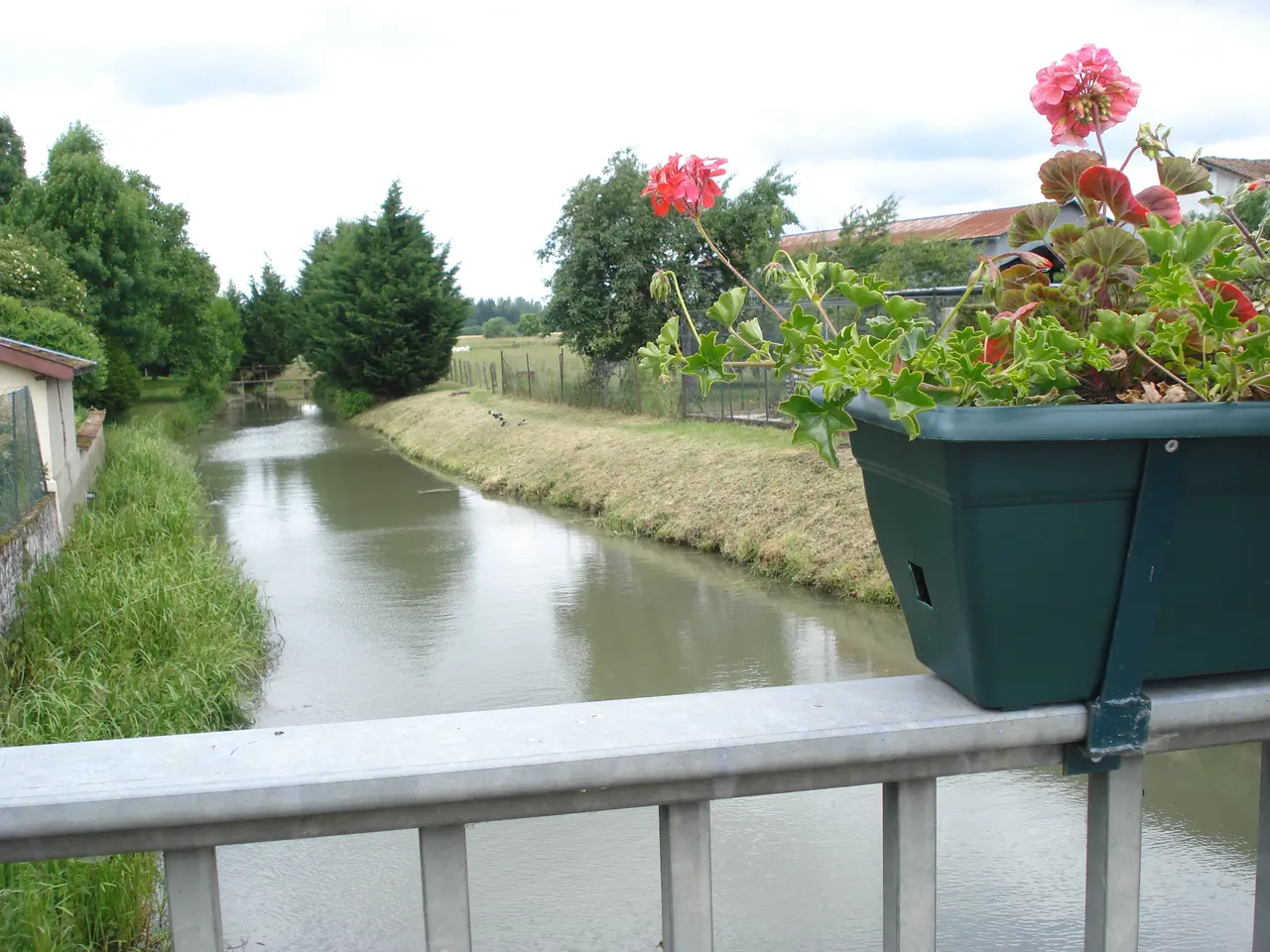 L'Isson (river) at Saint-Rémy-en-Bouzemont