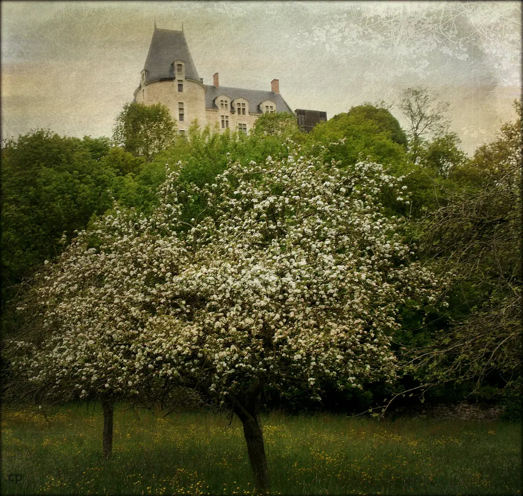 Château de Sainte Suzanne - Mayenne
