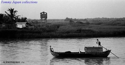 Sculling and Rowing a small river sampan on the Vàm Cỏ River - Photos from Rob Whitehurst 1970-72