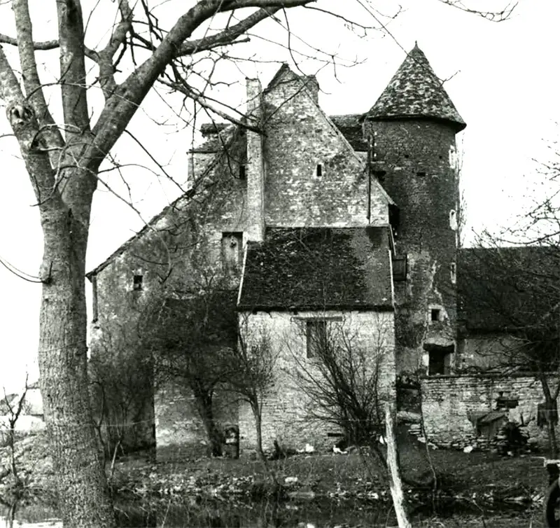 Château de Layer (Saulon-la-Chapelle, Côte-d'Or)