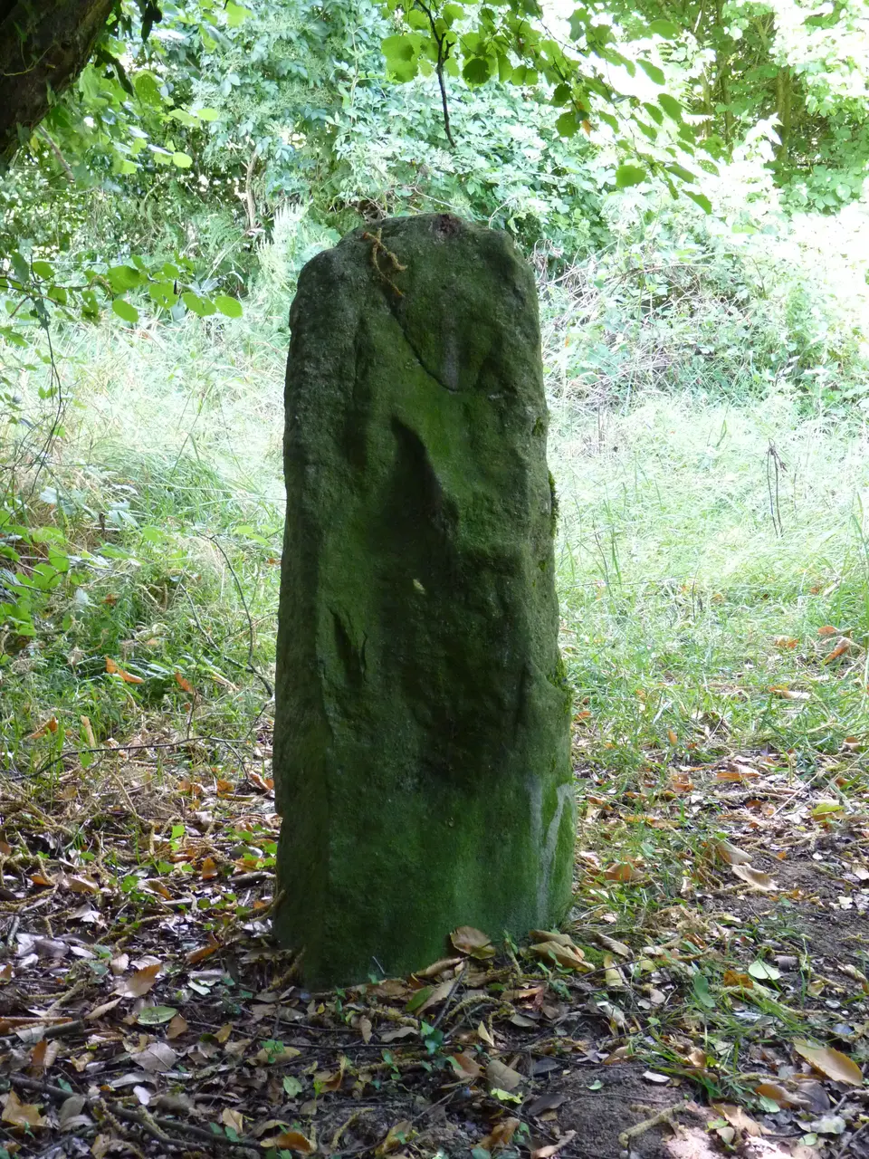 Deux menhirs de Kergoff à Boqueho 01