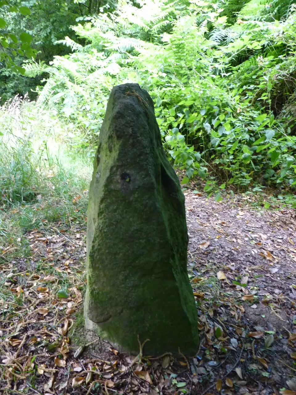 Deux menhirs de Kergoff à Boqueho 02