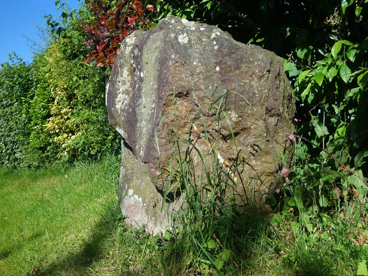 Le Menhir de « La Nouette » à Breteil - Ille-et-Vilaine - Mai 2020 (02)