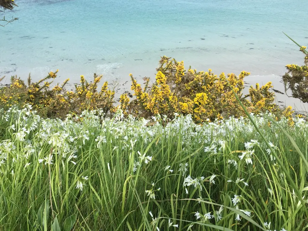 plage de Corn ar gazel