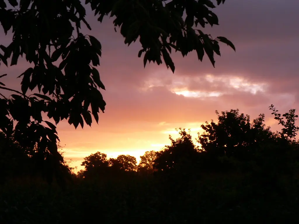 Levé de soleil à Domagné (Bretagne, France)