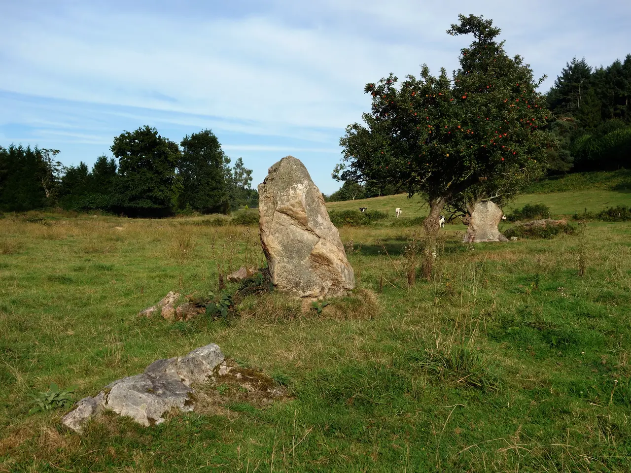 L'alignement de menhirs de la Bouaderie à Gosné - Ille-et-Vilaine - Septembre 2017