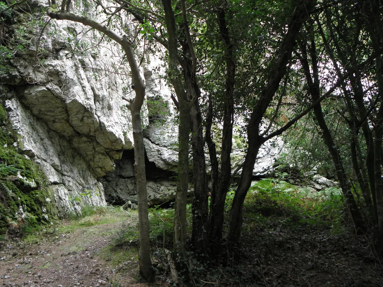 Guiclan (29) Grotte et rocher de Roc'h-Toul 10