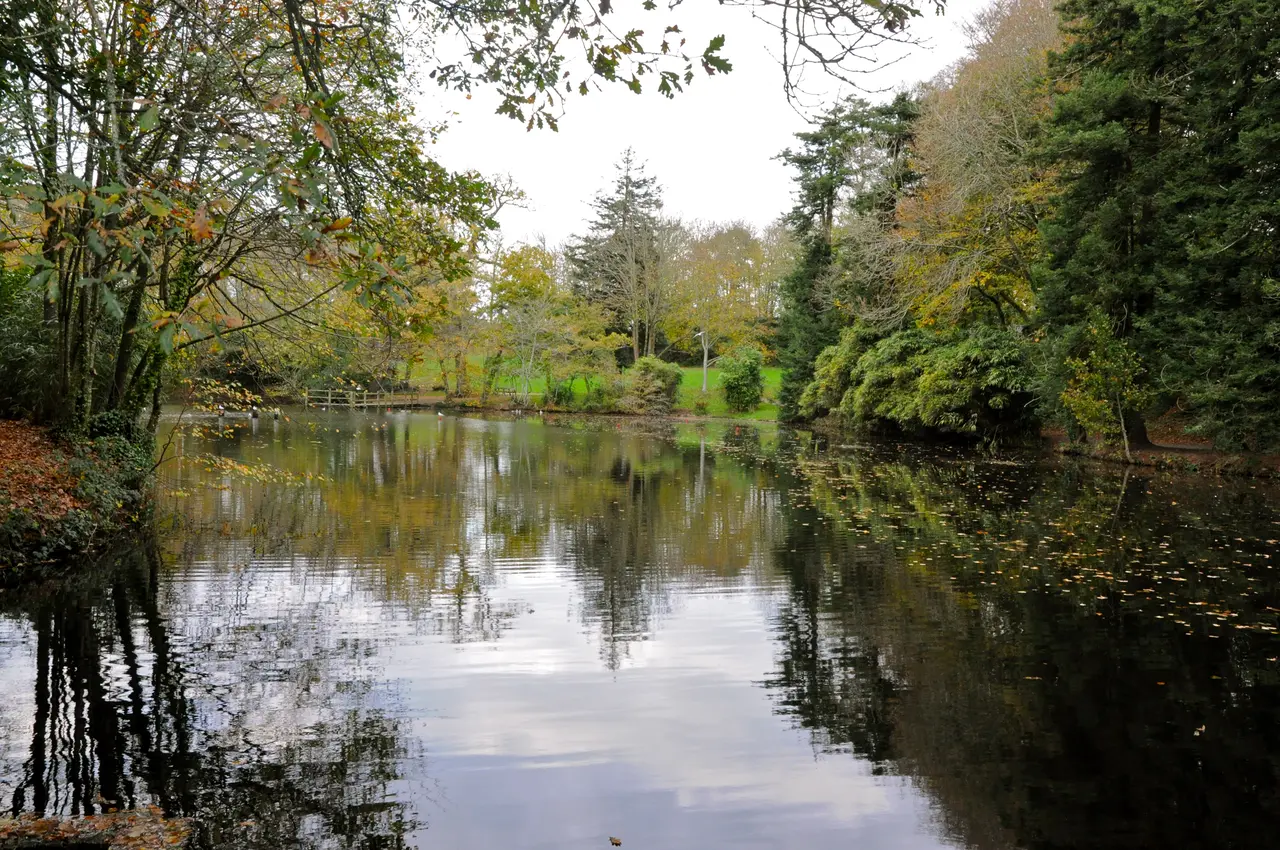 Etang du moulin de Kéroual-GUILERS
