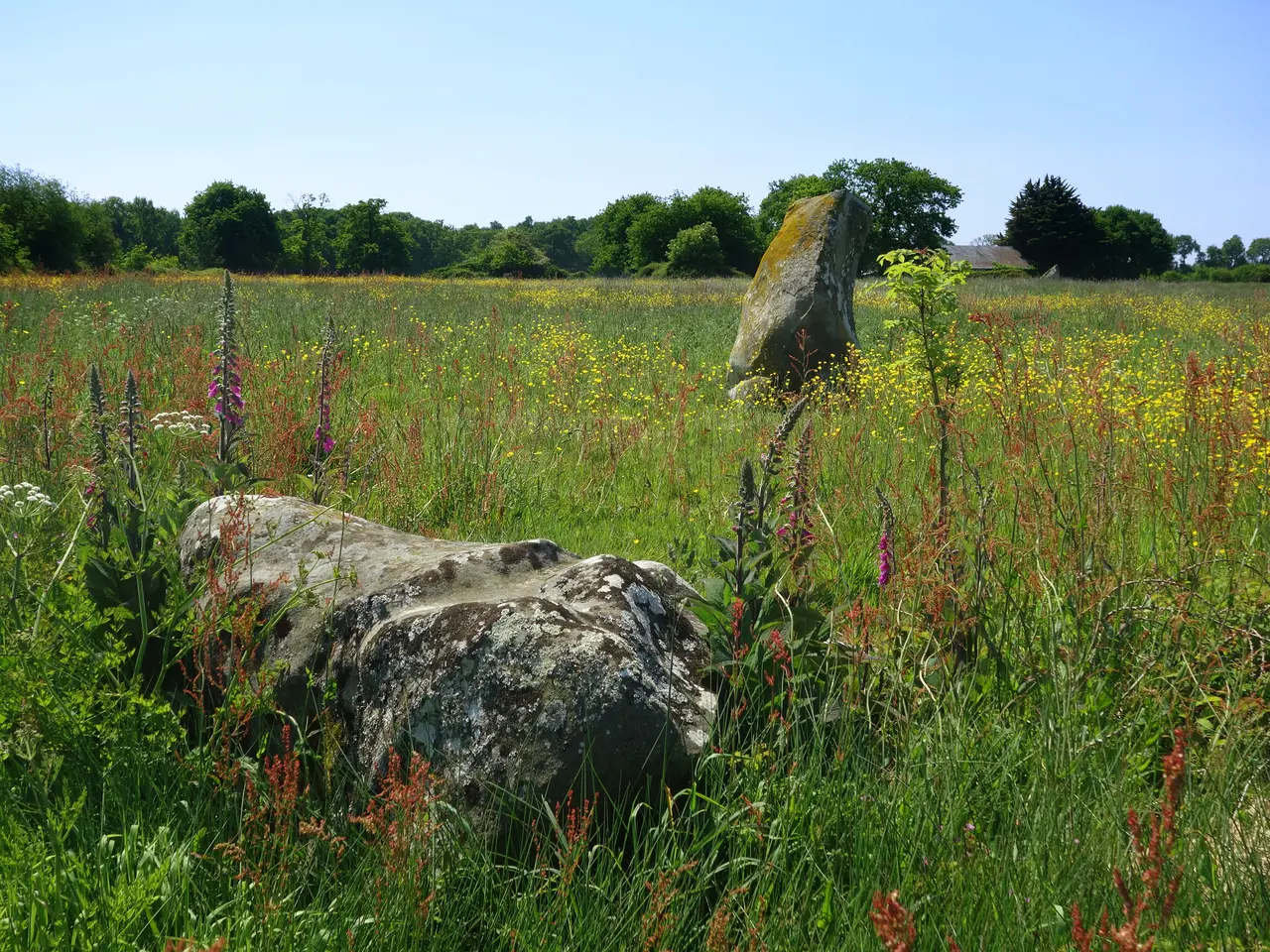 L'alignement de menhirs de Bringuerault à Hédé-Bazouges - Ille-et-Vilaine - Mai 2018