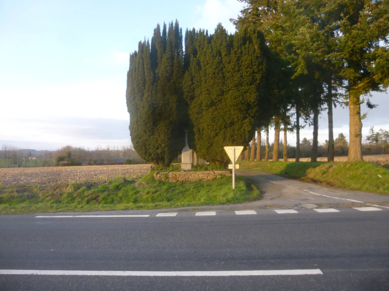 L'Angevinière (La Chapelle-Janson)