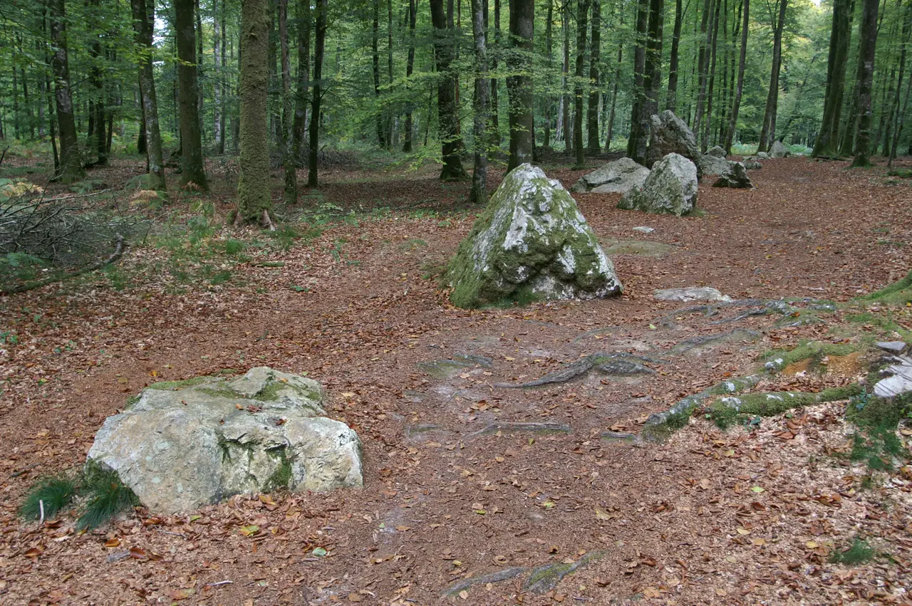 Landéan - CordondesDruides1