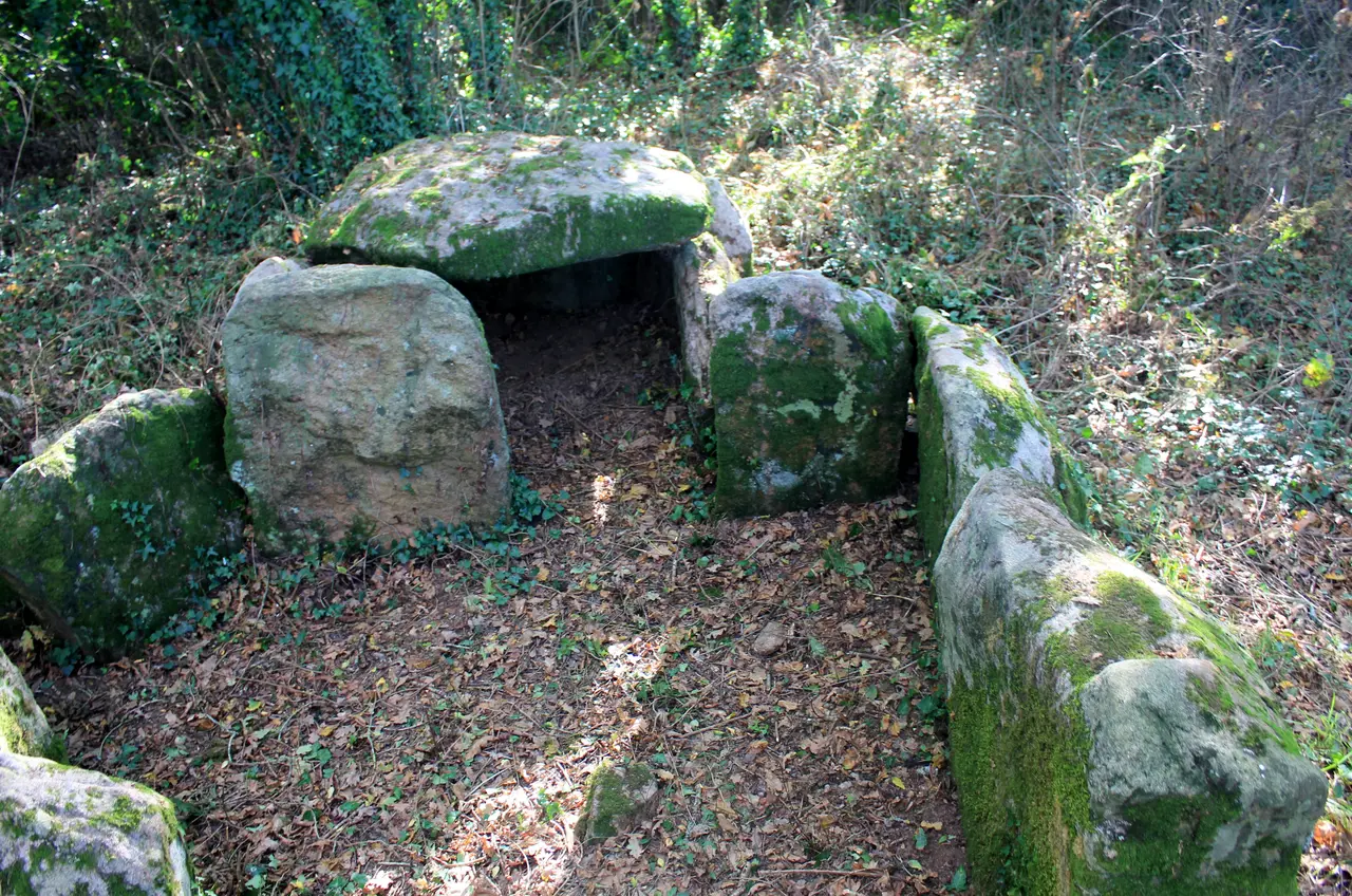 Dolmen à cabinets latéraux de Locqueltas 5401