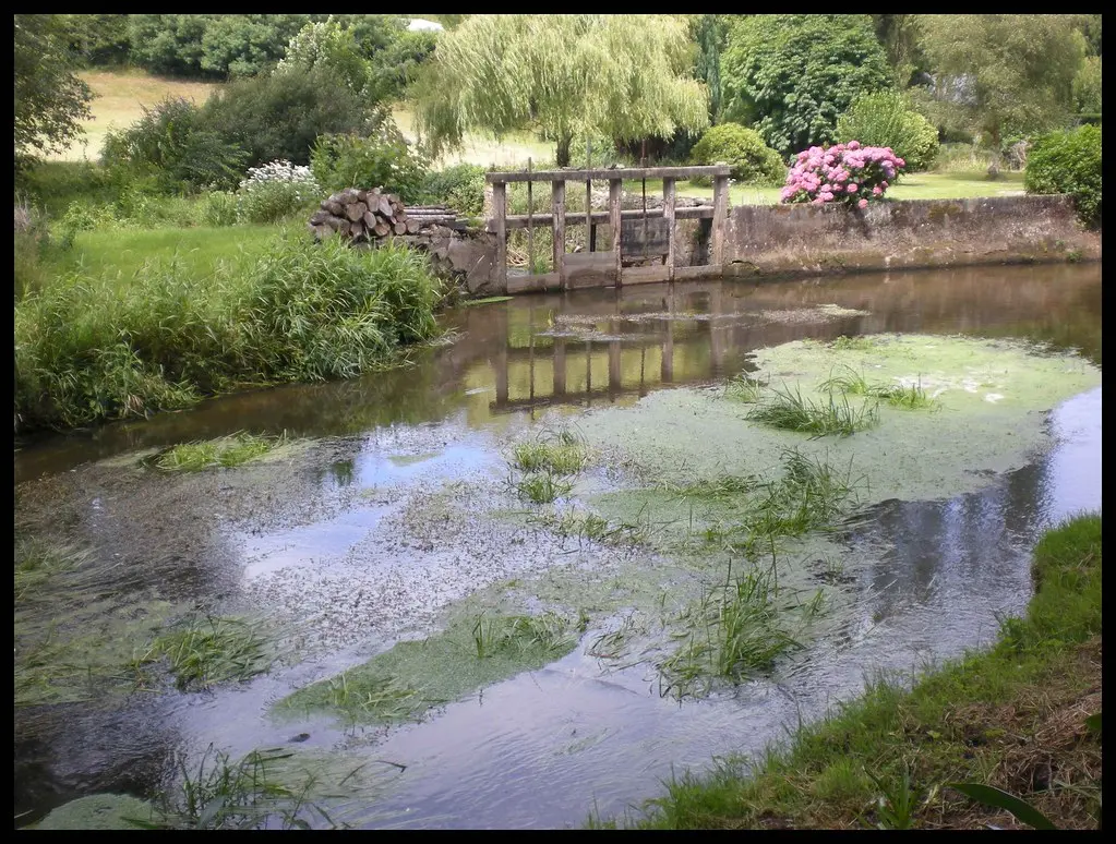 paysage/Bretagne/Minihy-Tréguier(22=