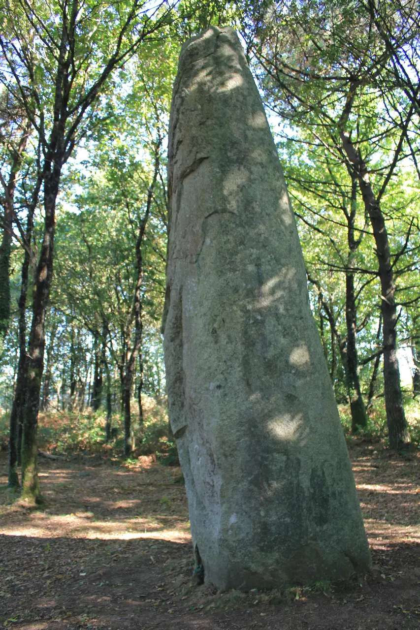Menhir de Kermarquer (Moustoir-Ac) 4488