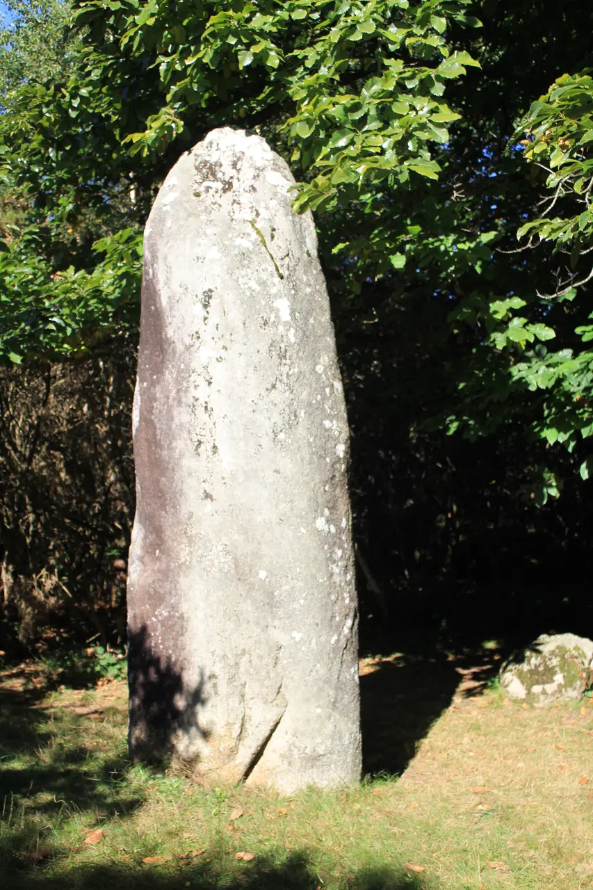 Menhir de Kerara (Moustoir-Ac) 4497