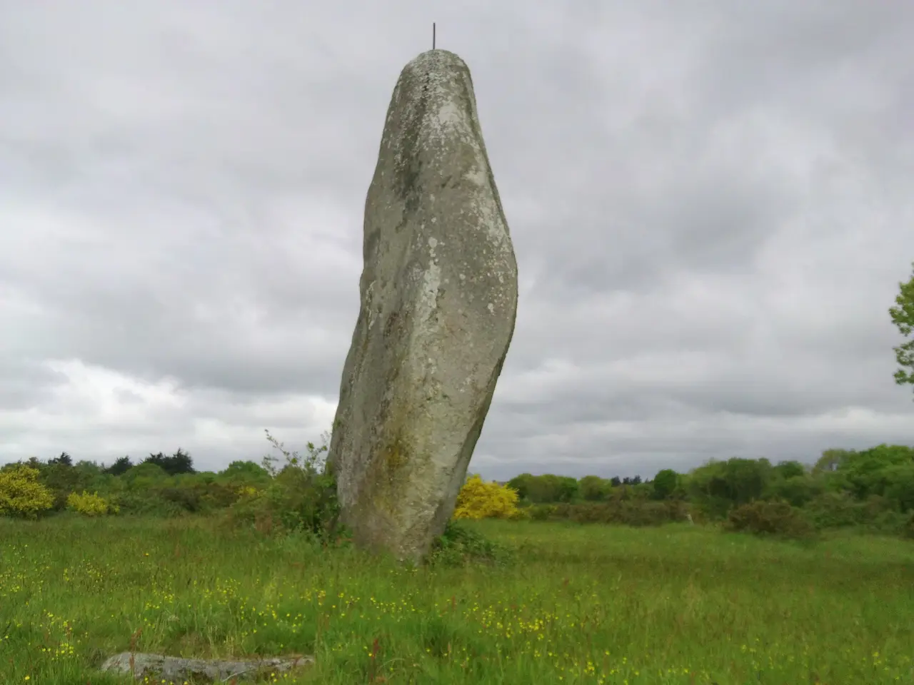 Menhir du Min-hir,Pédernec