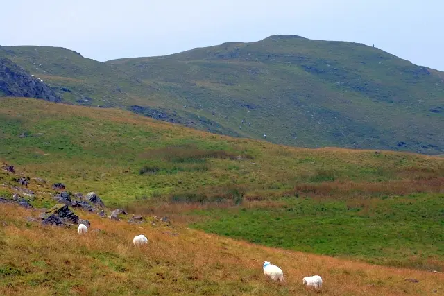 View towards Pen Lan Fawr - geograph.org.uk - 3066894