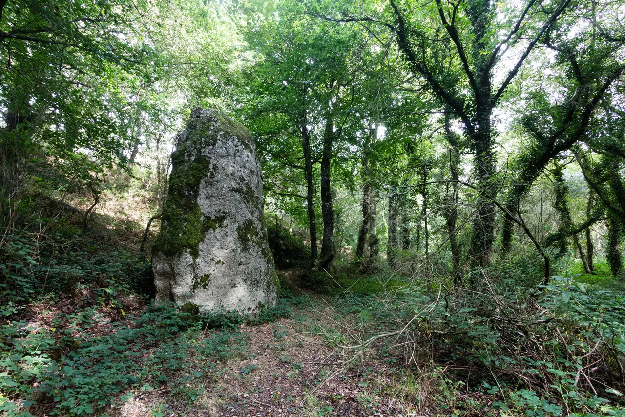 File:Menhir dit le Fuseau, Plaine-Haute, France.jpg