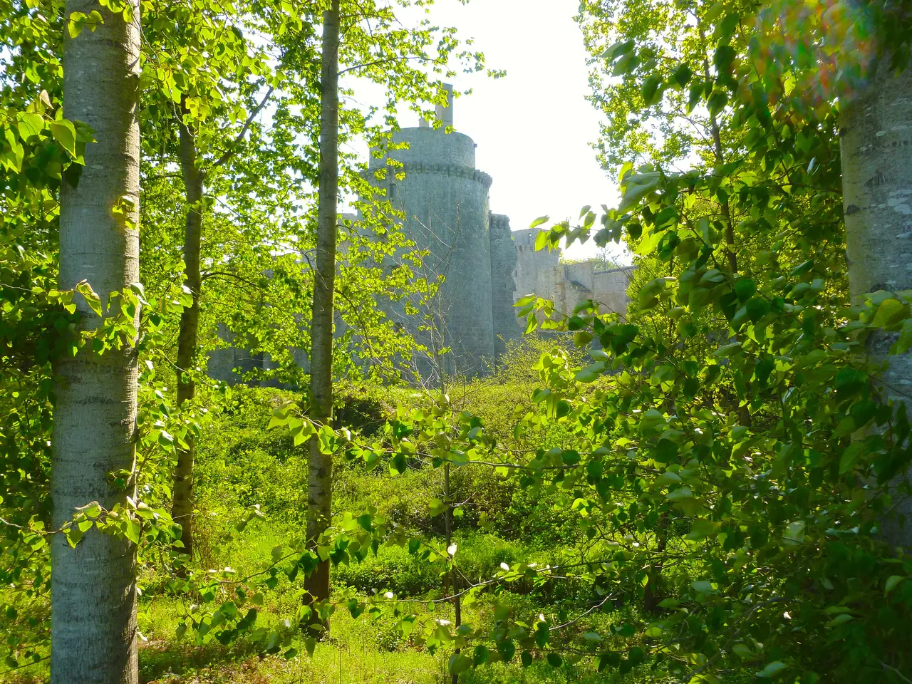 Château de la Hunaudaye (Plédéliac) vu depuis les sentiers de randonnée de Pléven