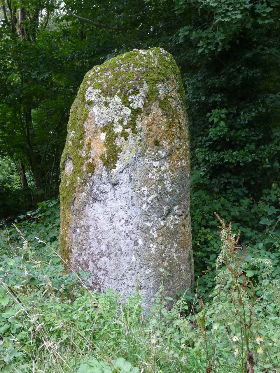 File:Fuseau de Margot à Plédran 02.JPG