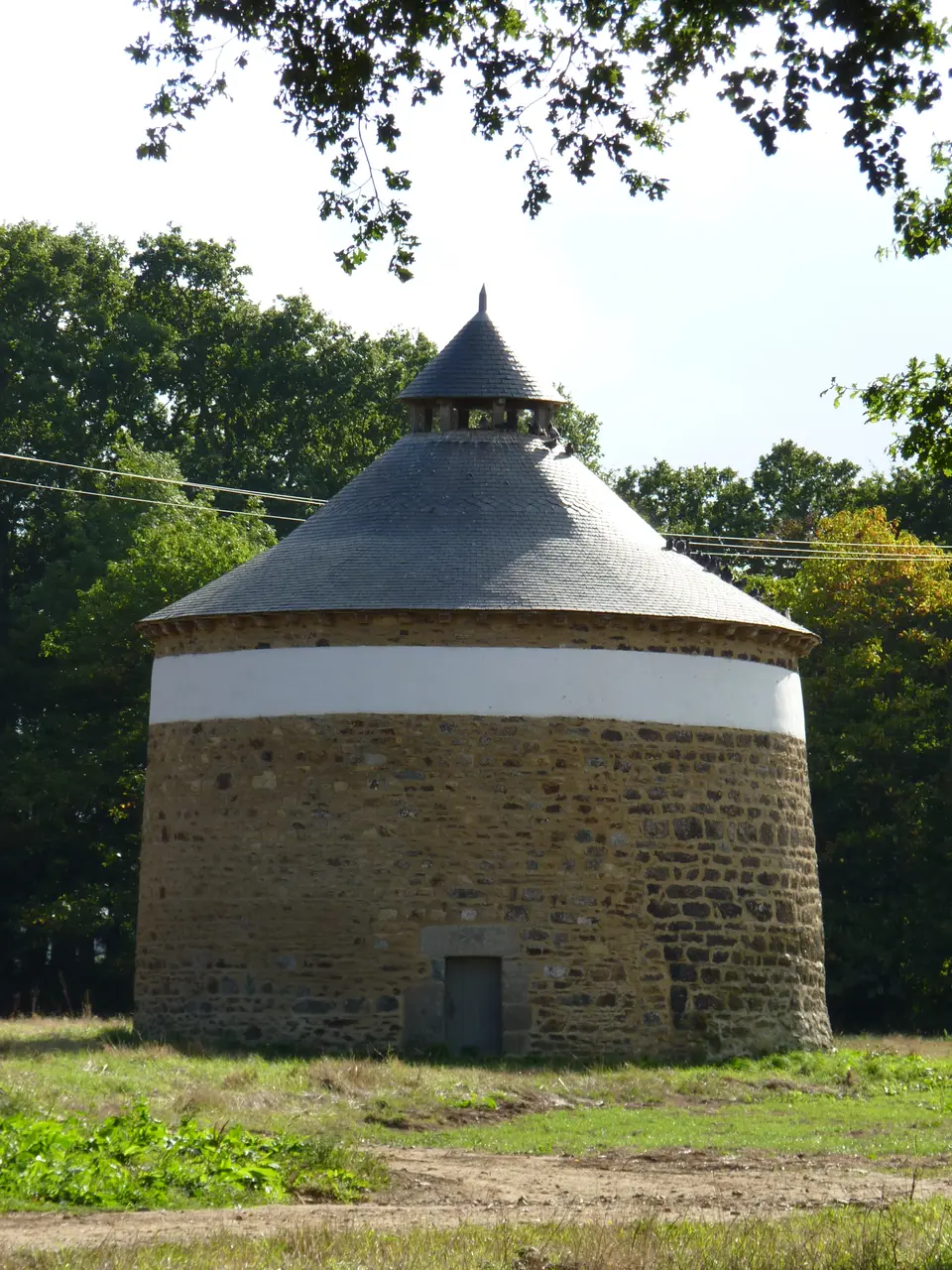 Château du Bois de la Salle à Pléguien 05
