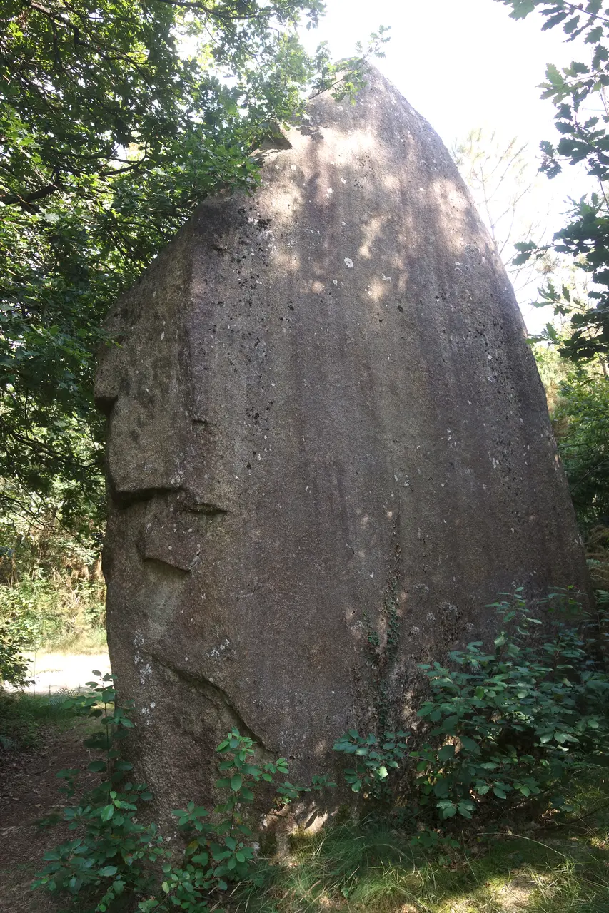 Le menhir de Ranion - Pleucadeuc - Morbihan - Août 2018
