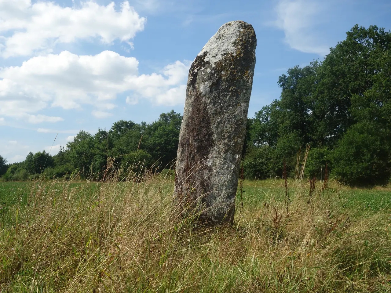 Le menhir des Hautes Landes - Pleucadeuc - Morbihan - Août 2018