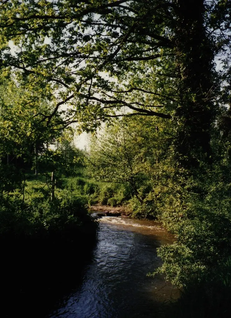 La Vaunoise (Pleumeleuc)