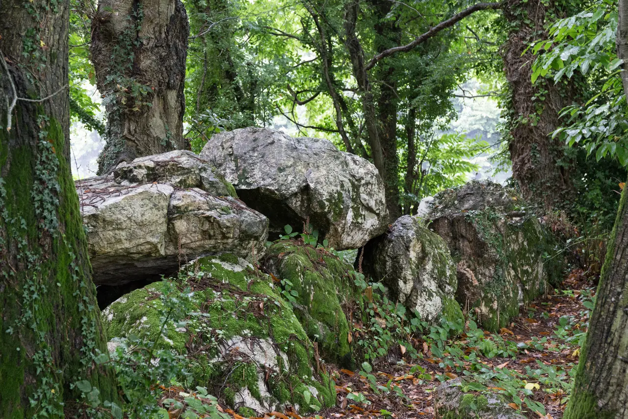 Plouër-sur-Rance - Allée couverte de Bel Evan 01