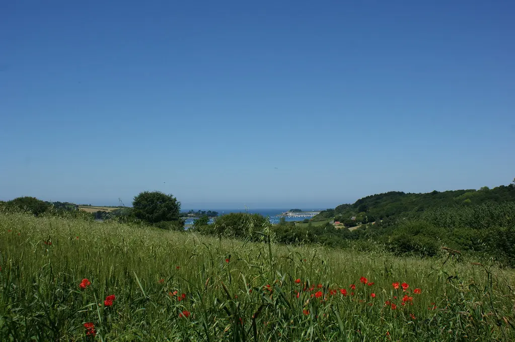Vue sur l'anse de Térénez depuis Plouezoc'h