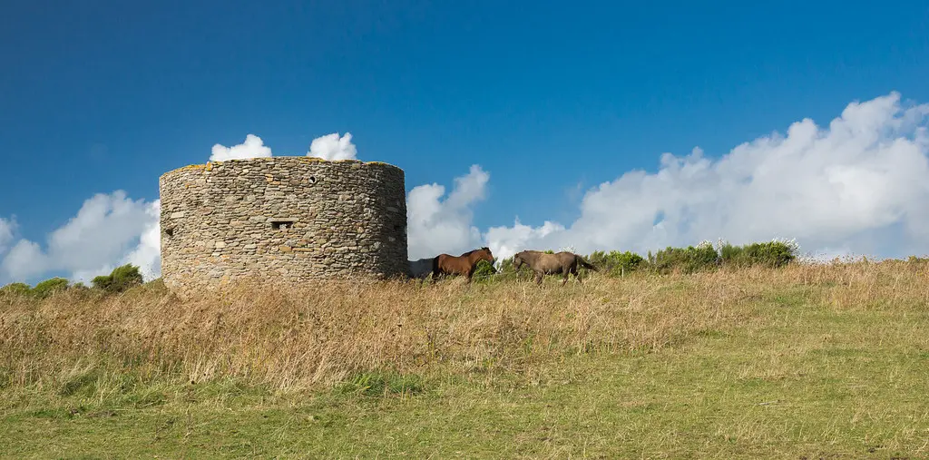 chevaux près de la pointe Saint-mathieu (Plougonvelin).