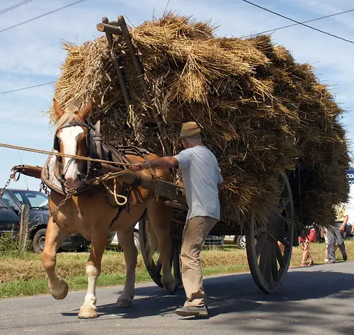 Plumaugat: haycart
