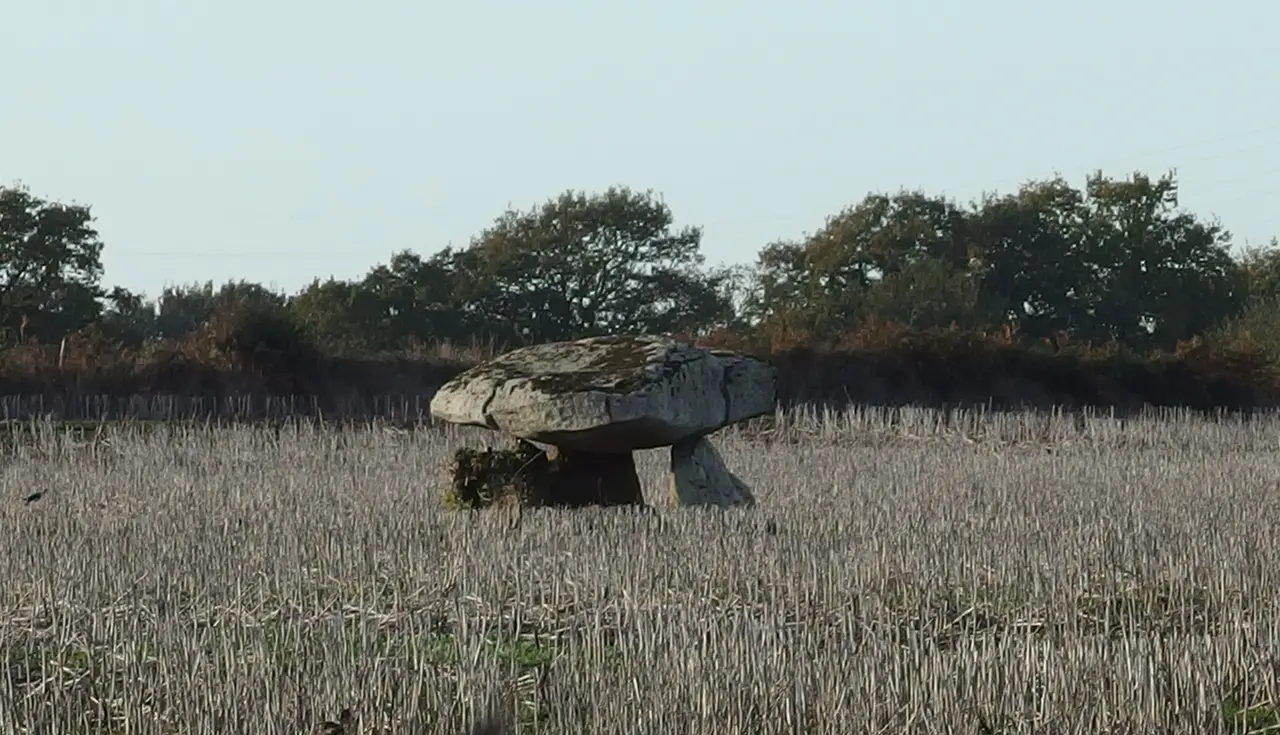 Pluneret - Dolmen de Kervingu