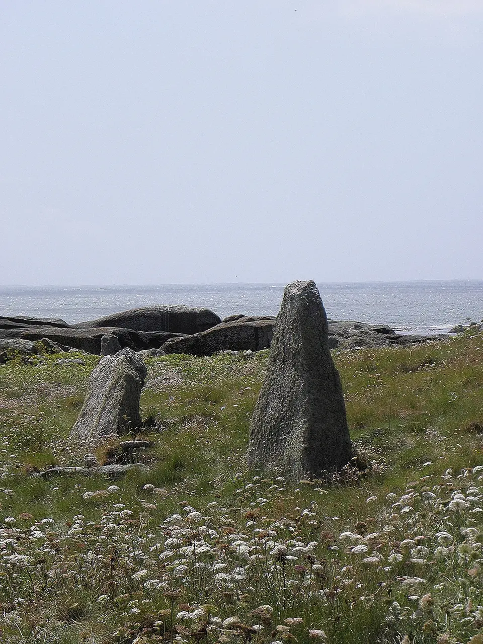 Porspoder (29) Grand menhir de l'île Melon