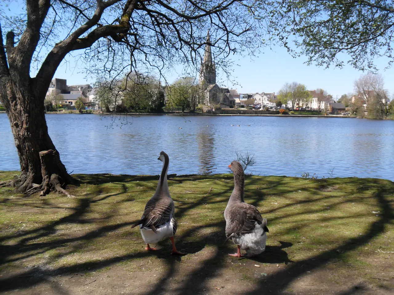 First Lake of Rosporden, France