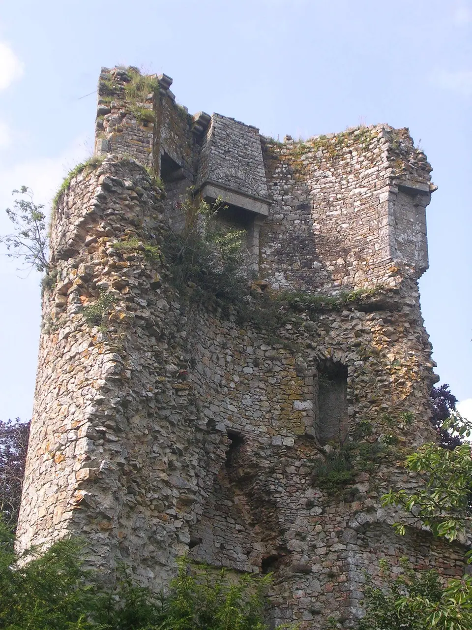 Donjon-saint-aubin-du-cormier