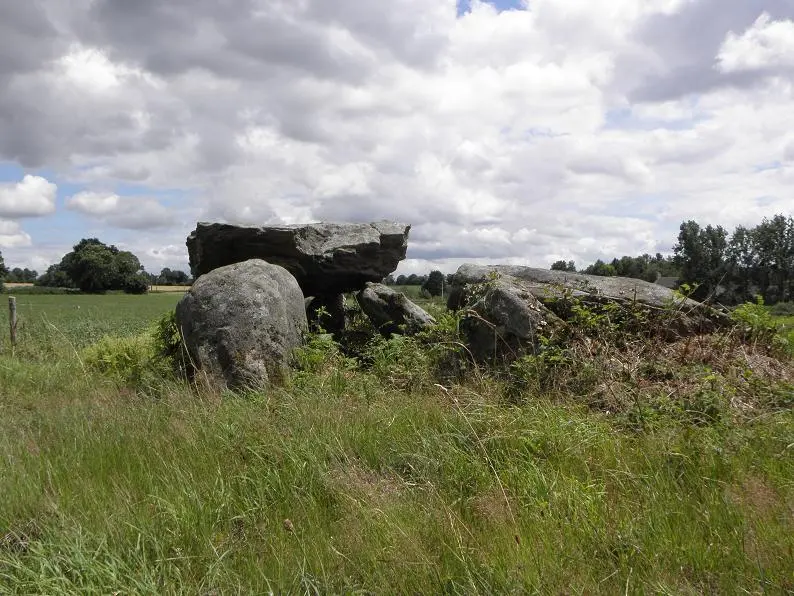 Saint-Germain-en-Coglès (35) Dolmen 02