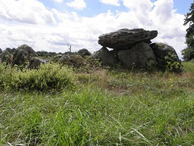 Saint-Germain-en-Coglès (35) Dolmen 01