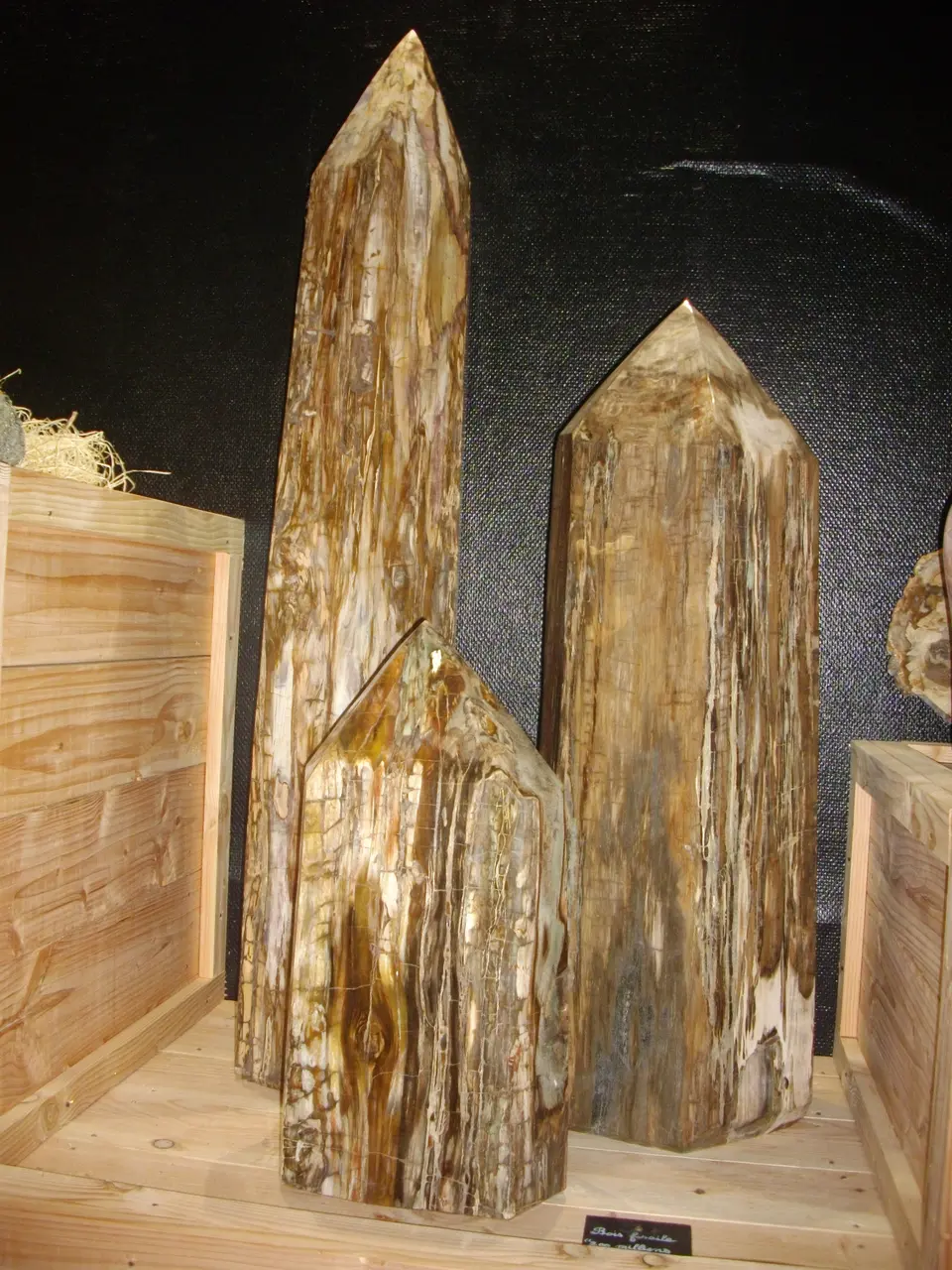 Saint-Jacut-les-Pins - Tropical Parc, musée des minéraux (02)
