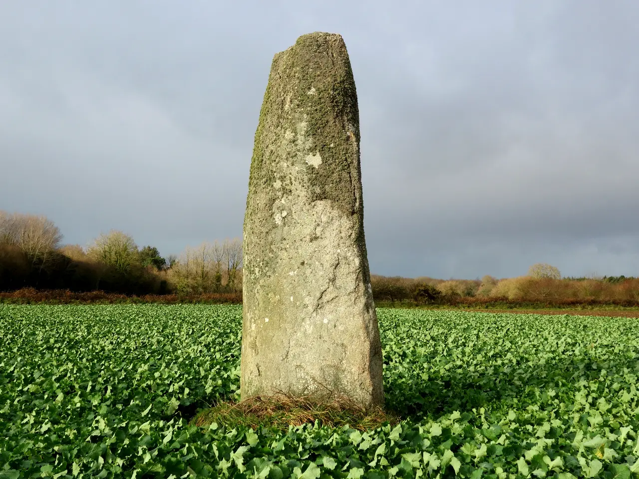 Le menhir de « Toul-an-Lann » près de Trédrez-Locquémeau (Côte-d'Armor - 22)