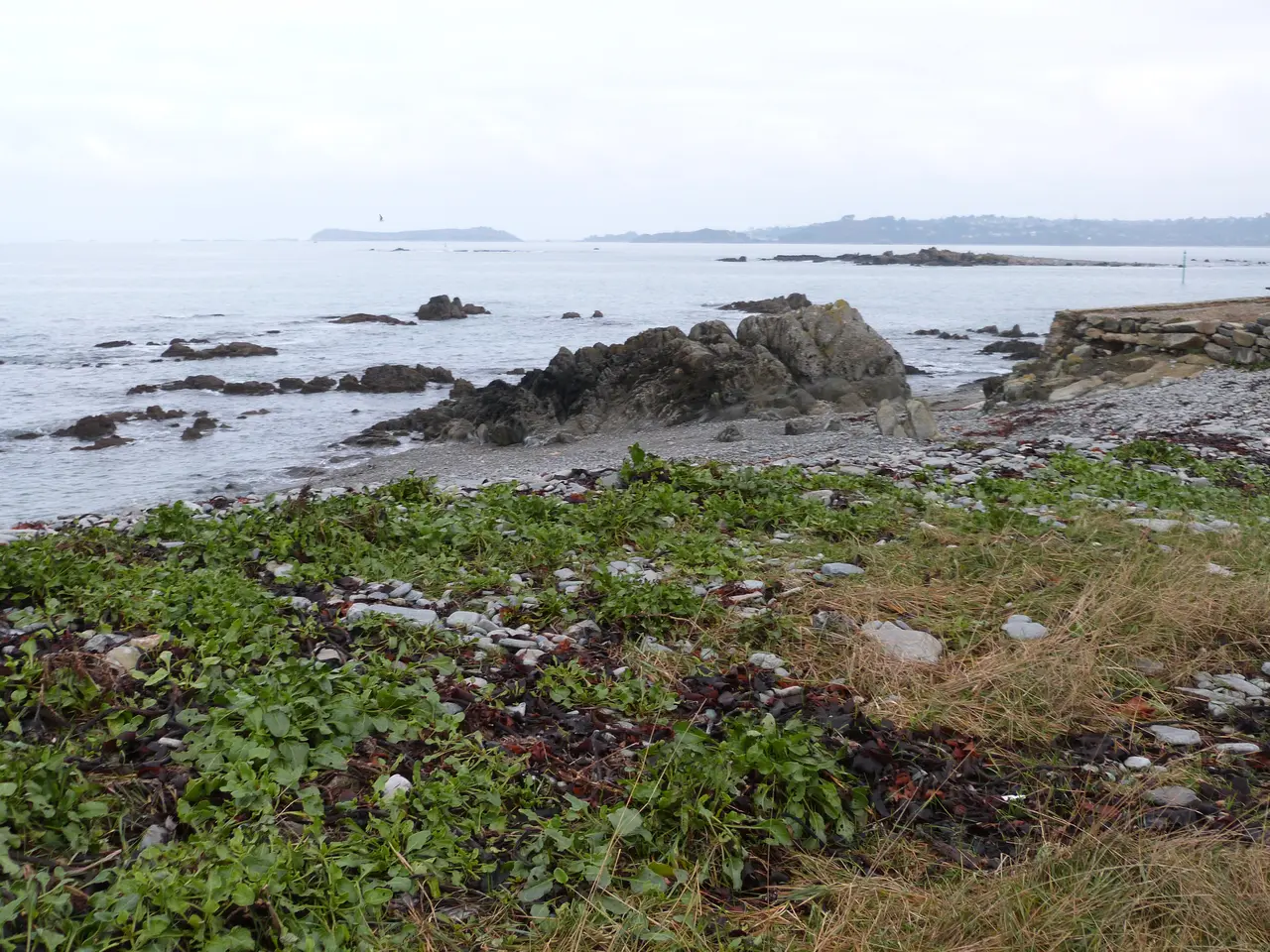 La pointe de Séhar à Locquémeau (Trédrez-Locquémeau, 22) - 07